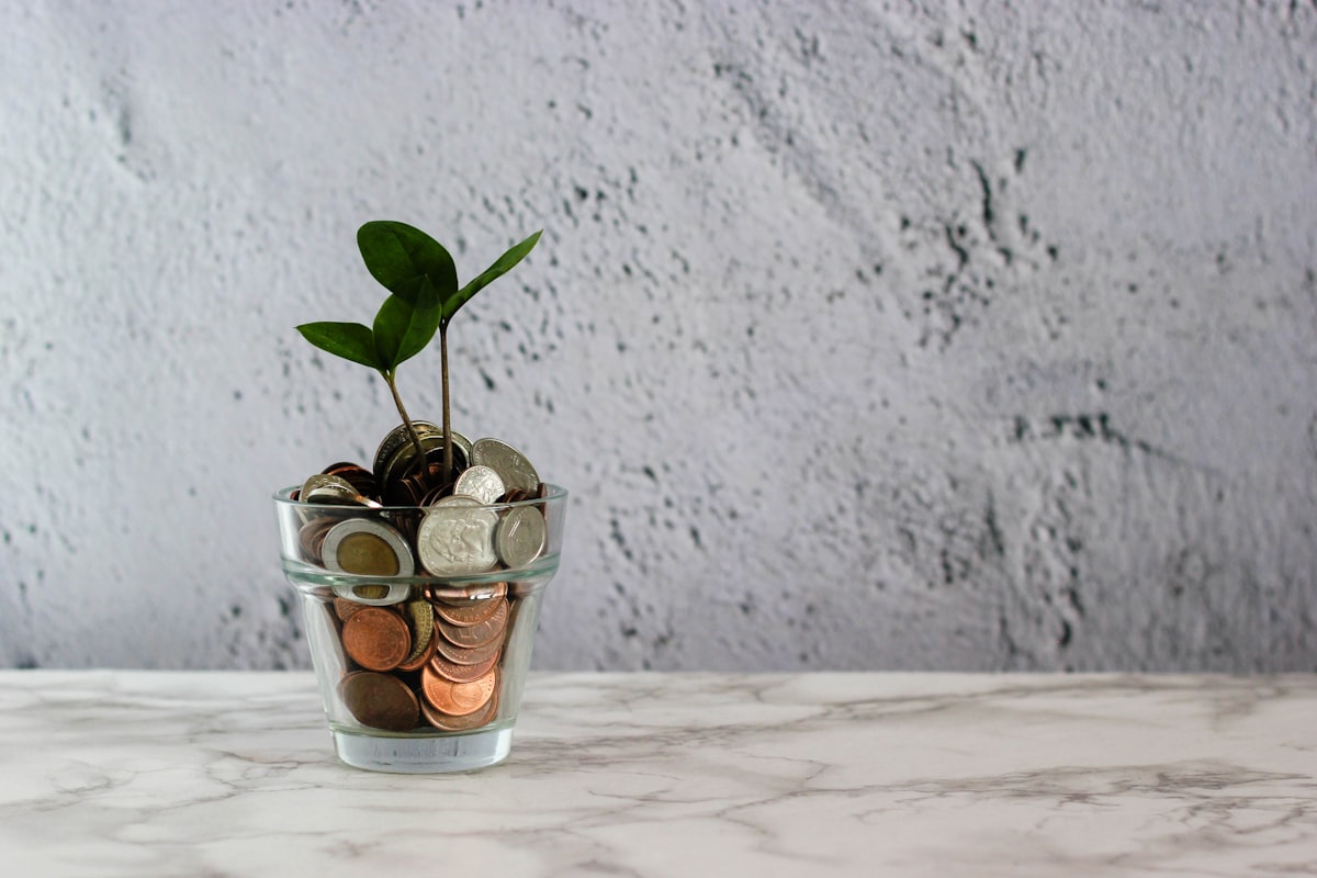 Purposeful savings and emergency fund